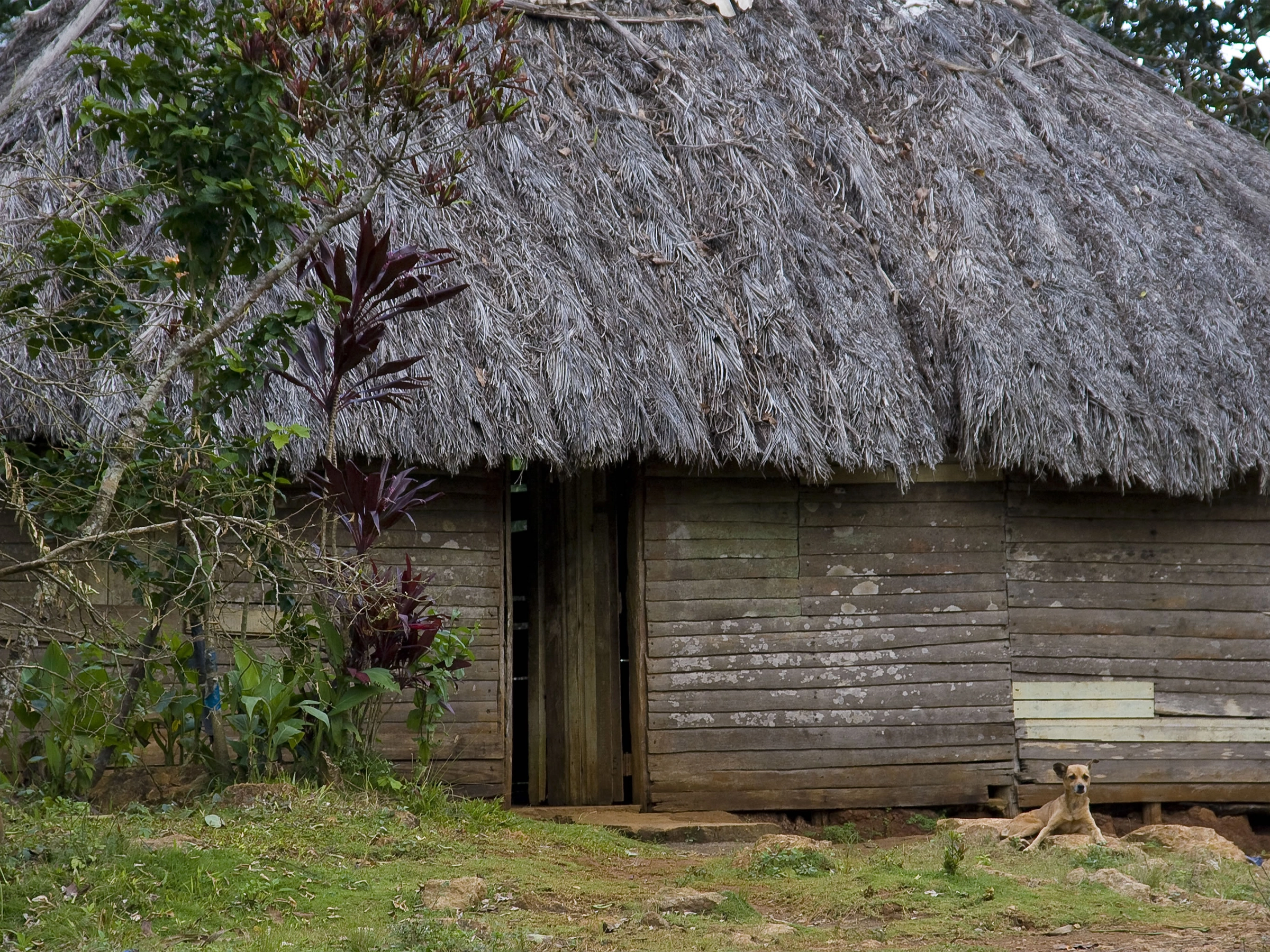 Destination Baracoa