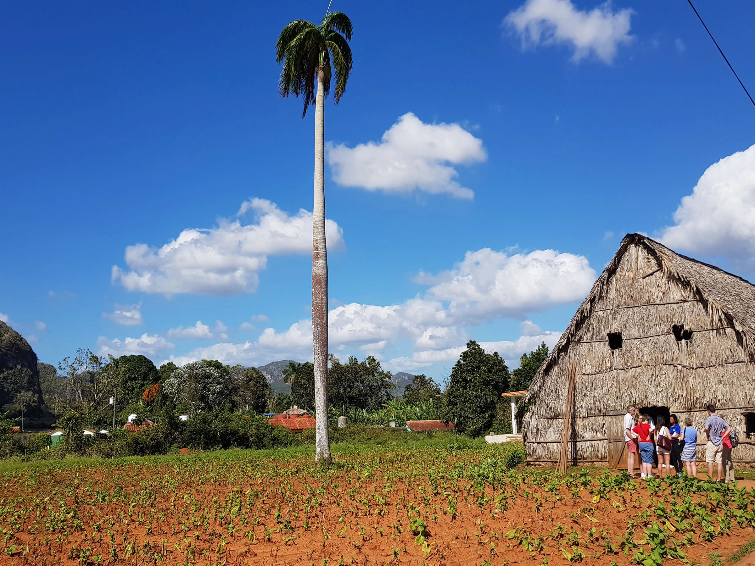 Destination Pinar del Rio