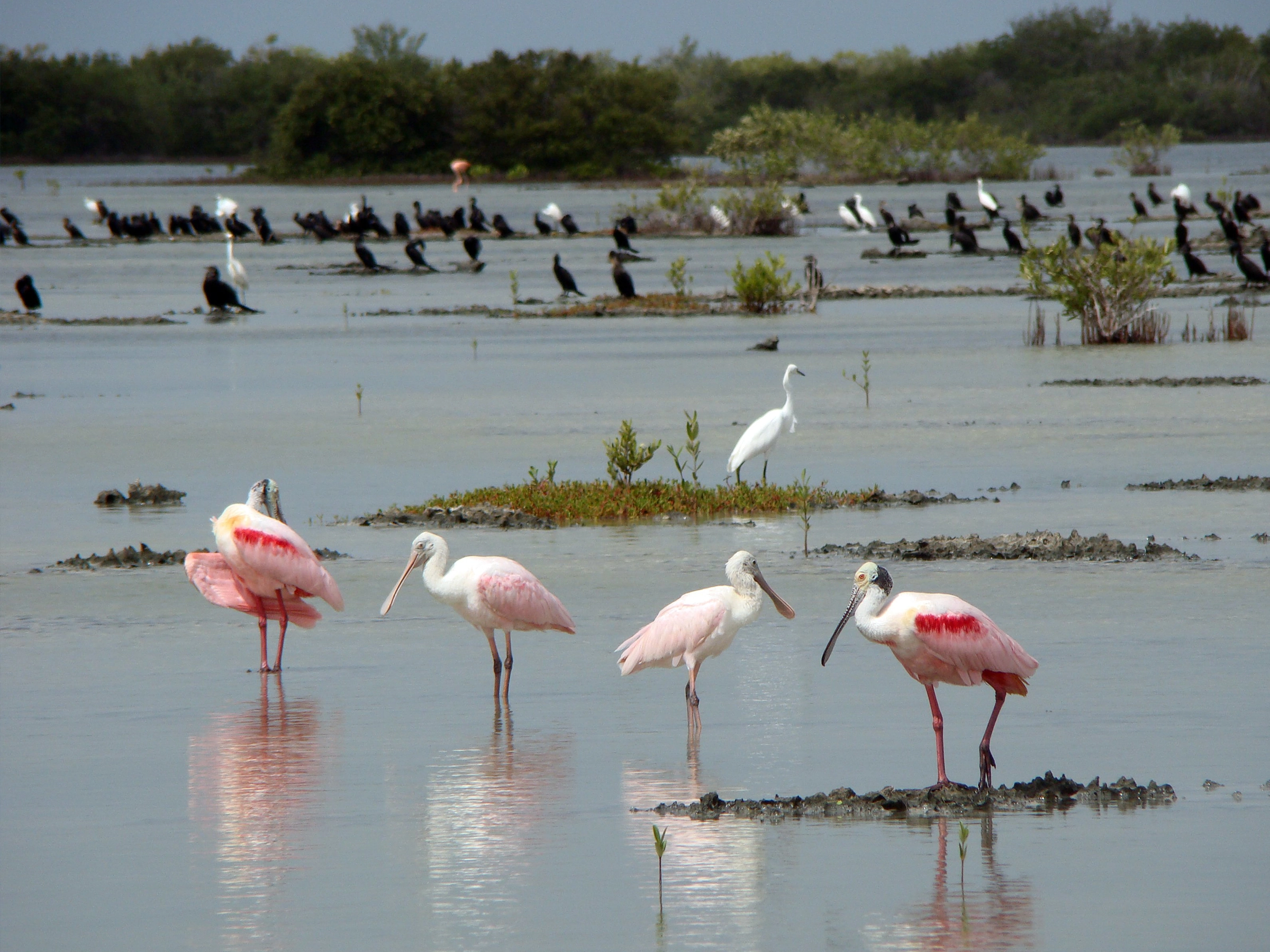 Destination Cienaga de Zapata